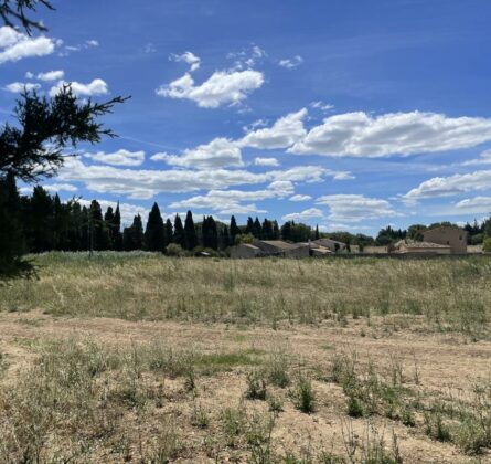 ECRIN DE VERDURE DANS LES ALPILLES - constrcuteur de maison - Villas la Provençale