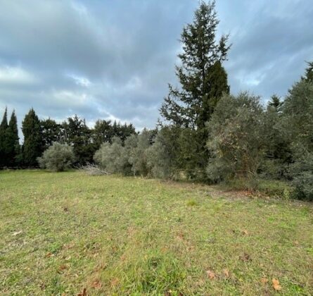 Votre futur projet de 95 m² sur un terrain exceptionnel à Maussane-les-Alpilles - constrcuteur de maison - Villas la Provençale