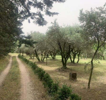 NOUVEAU  !!!  ALLEINS terrains à bâtir - constrcuteur de maison - Villas la Provençale