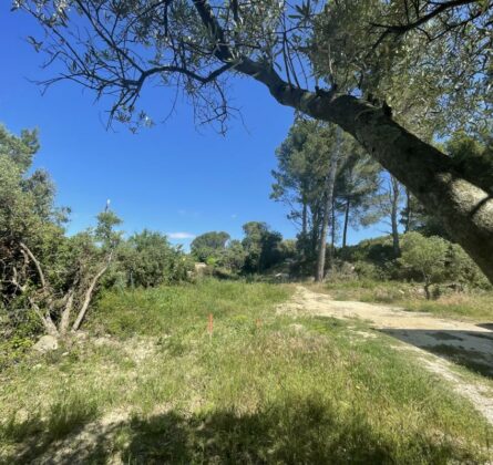 UN VERITABLE ECRIN - constrcuteur de maison - Villas la Provençale