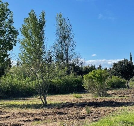 grande villa de plain-pied au cœur d’un quartier résidentiel - constrcuteur de maison - Villas la Provençale