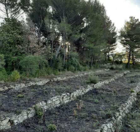 SUPER TERRAIN A BATIR SUR LA COMMUNE DE LA BOUILLADISSE - constrcuteur de maison - Villas la Provençale