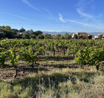 Terrain à bâtir POURRIERES - constrcuteur de maison - Villas la Provençale