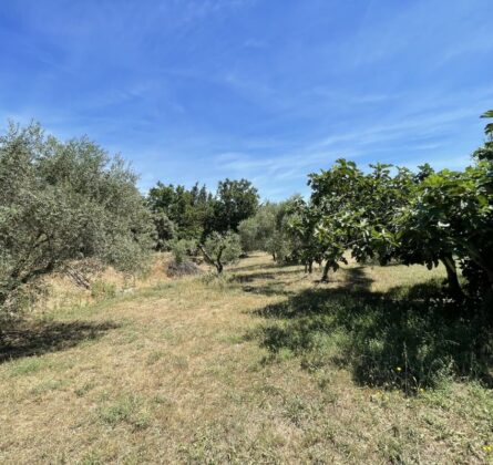 L’AUTHENTICITE EN PROVENCE - constrcuteur de maison - Villas la Provençale