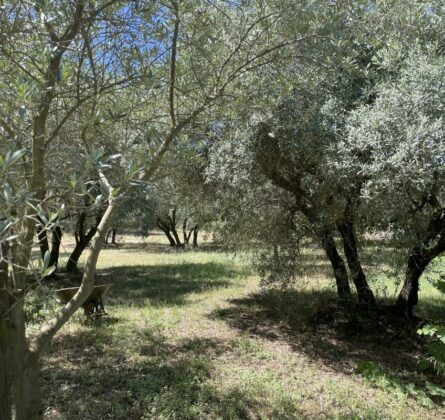 L’AUTHENTICITE EN PROVENCE - constrcuteur de maison - Villas la Provençale