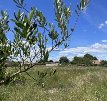 ECRIN DE VERDURE DANS LES ALPILLES - constrcuteur de maison - Villas la Provençale