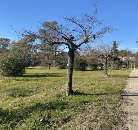 Créez Votre Villa d’Exception à La Cadière d’Azur – Un Terrain Unique dans un Cadre Prestigieux ! - constrcuteur de maison - Villas la Provençale