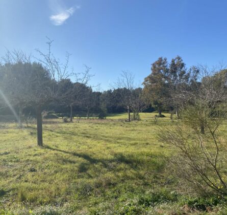 Créez Votre Villa d’Exception à La Cadière d’Azur – Un Terrain Unique dans un Cadre Prestigieux ! - constrcuteur de maison - Villas la Provençale