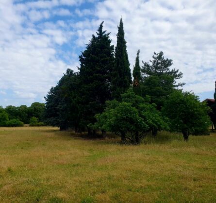 À Vendre : Terrain à Pertuis - constrcuteur de maison - Villas la Provençale