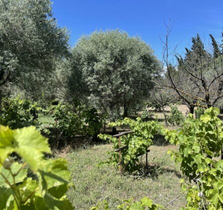 L’AUTHENTICITE EN PROVENCE - constrcuteur de maison - Villas la Provençale