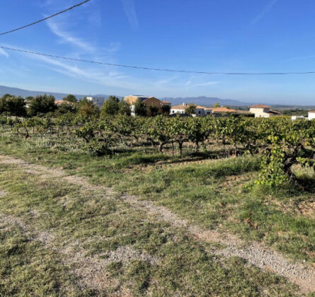 Terrain à bâtir POURRIERES - constrcuteur de maison - Villas la Provençale