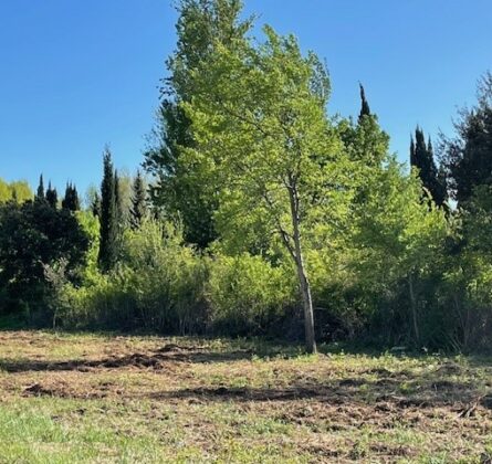 grande villa de plain-pied au cœur d’un quartier résidentiel - constrcuteur de maison - Villas la Provençale