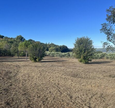 Terrain à bâtir - constrcuteur de maison - Villas la Provençale