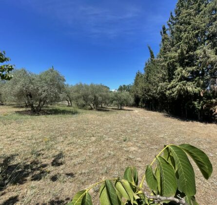 UN JOYAU EN PROVENCE - constrcuteur de maison - Villas la Provençale