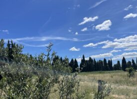 ECRIN DE VERDURE DANS LES ALPILLES