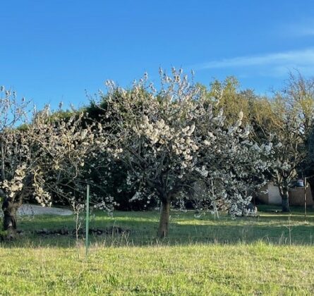 maison de plain-pied avec jardin - constrcuteur de maison - Villas la Provençale