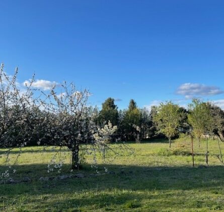 maison de plain-pied avec jardin - constrcuteur de maison - Villas la Provençale