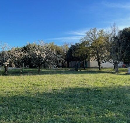 maison de plain-pied avec jardin - constrcuteur de maison - Villas la Provençale