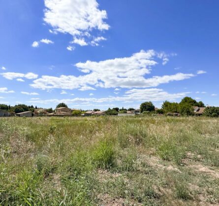 ECRIN DE VERDURE DANS LES ALPILLES - constrcuteur de maison - Villas la Provençale