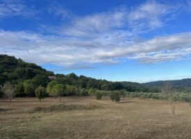 Terrain à bâtir ROGNES