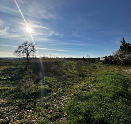 Terrain plat constructible - constrcuteur de maison - Villas la Provençale