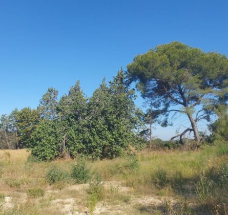 À Vendre : Très beau lotissement – Secteur recherché - constrcuteur de maison - Villas la Provençale