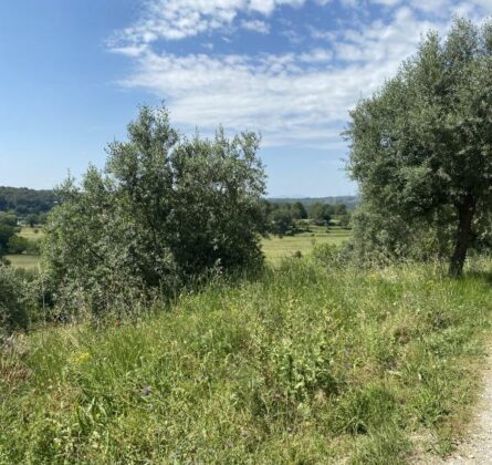 Très beau terrain a bâtir sur la commune de DRAGUIGNAN - constrcuteur de maison - Villas la Provençale