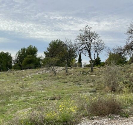 Au pied du Luberon et à 5 mn du centre ville de Mouriès - constrcuteur de maison - Villas la Provençale