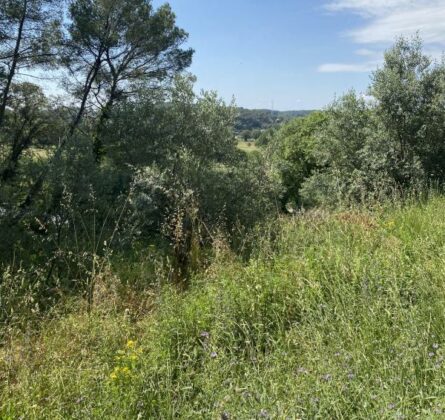 Très beau terrain a bâtir sur la commune de DRAGUIGNAN - constrcuteur de maison - Villas la Provençale