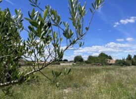 UNIQUE DANS LES ALPILLES