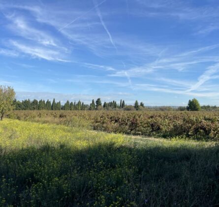 A SAISIR  BAISSE DE PRIX : OFFRE TERRAIN UNIQUE BERRE L’ETANG - constrcuteur de maison - Villas la Provençale