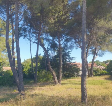 À Vendre : Magnifique terrain au calme à Saint-Mitre-Les-Remparts - constrcuteur de maison - Villas la Provençale