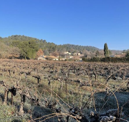 Projet de construction VILLELAURE - constrcuteur de maison - Villas la Provençale