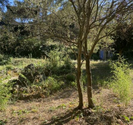 Très beau terrain a bâtir sur la commune de LA CADIERE-D’AZUR - constrcuteur de maison - Villas la Provençale