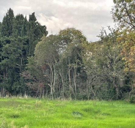 Située à proximité immédiate du centre-ville de Salon-de-Provence, cette charmante maison de 90 m² sur une parcelle de terrain de 400 m² offre un cadre de vie agréable et serein, idéal pour une famille - constrcuteur de maison - Villas la Provençale