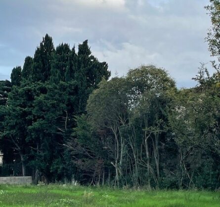 Située à proximité immédiate du centre-ville de Salon-de-Provence, cette charmante maison de 90 m² sur une parcelle de terrain de 400 m² offre un cadre de vie agréable et serein, idéal pour une famille - constrcuteur de maison - Villas la Provençale