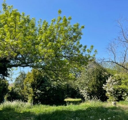 À vendre : Terrain à Salon de Provence – Un cadre de vie idéal ! - constrcuteur de maison - Villas la Provençale