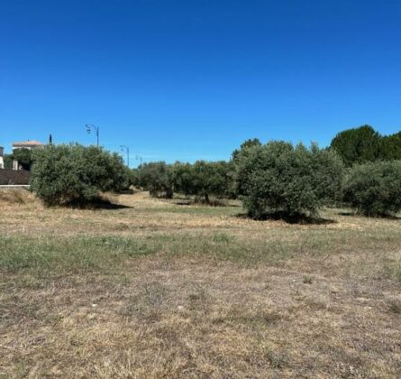 Nouveau Lotissement à Alleins – Terrains Viabilisés de 365 m² à 465 m² - constrcuteur de maison - Villas la Provençale