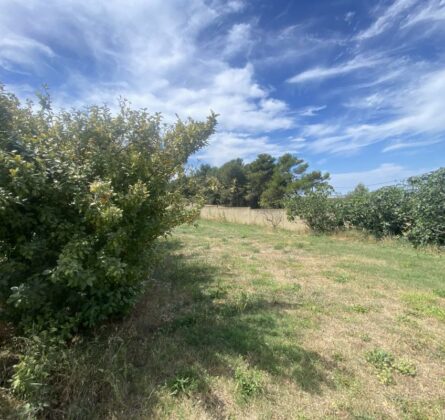 Terrain à vendre à Septèmes-les-Vallons - constrcuteur de maison - Villas la Provençale