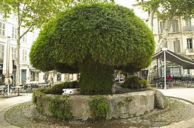 Dans quartier privilégié de Salon de Provence - constrcuteur de maison - Villas la Provençale